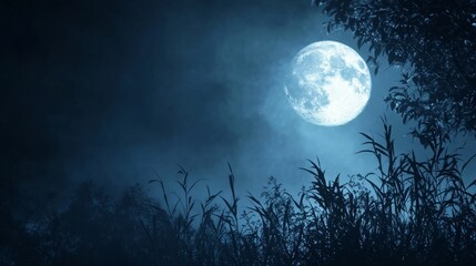 Fototapeta premium Mystical Full Moon Illuminating the Night Sky - A serene full moon shines brightly in the night sky, casting a soft glow on the surrounding foliage. The moon symbolizes peace, tranquility, and the bea