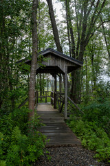 Naklejka premium A wooden trail in a swamp