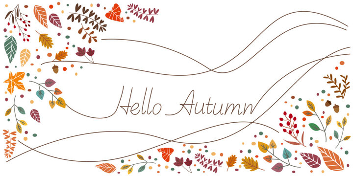 Autumn leaves and natural elements illustration. Autumnal decoration background. Vector illustration.