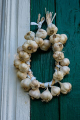 Organic garlic wreath on the wooden wall. Garlic is made into wreaths for storage.