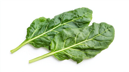 green chard leaves or mangold salad leaves isolated on white background
