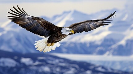 Eagles soar through skies with keen eyesight, symbolizing freedom and strength.
