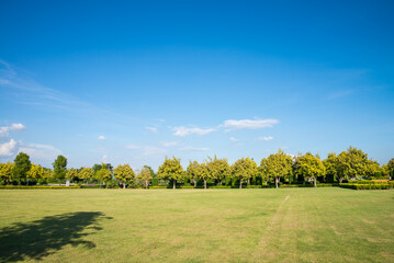 Beautiful green lawn field in warm sunlight with clear blue sky background copy space. Green nature, save environmental, natural background, relax in nature concept.