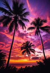 Fototapeta premium vibrant palm silhouettes framed stunning sunset backdrop colorful hues purple, colors, orange, pink, sky, clouds, tropical, landscape, view, scenery, light