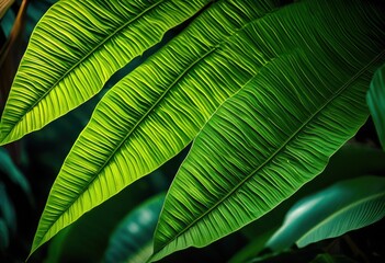 vibrant illustrations diverse plant leaf varieties featuring lush green colors unique shapes, variety, botanical, foliage, design, art, detail, pattern