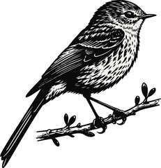  Asian brown flycatcher vector silhouette illustration