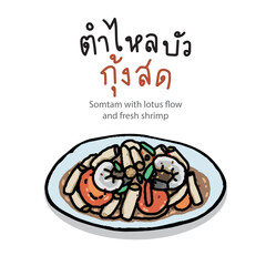 Lotus stem spicy salad with prawns, Somtum Thai food, hand drawn style vector illustration.	
