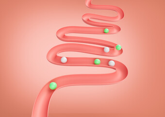Human Gut Model Digestive System Or Intestinal Tract Mockup With Balls Rolling Down 3D Illustration