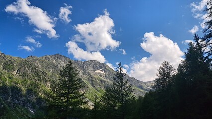 paesaggio montuoso