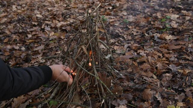 Survival fire concept: A fire in the woods on a carpet of leaves, bushcraft basic skill