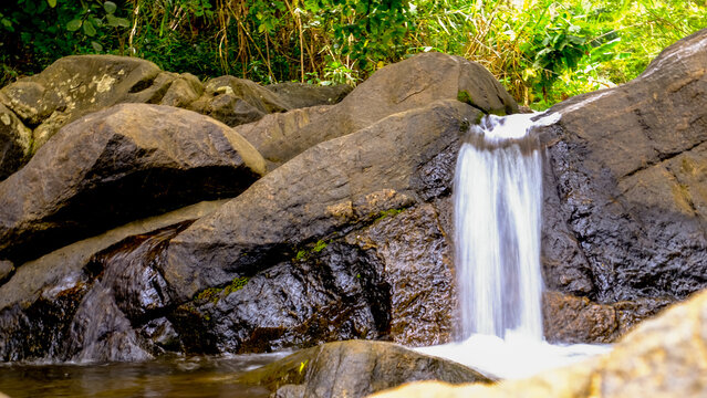 waterfall in the forest
