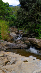 stream in the forest