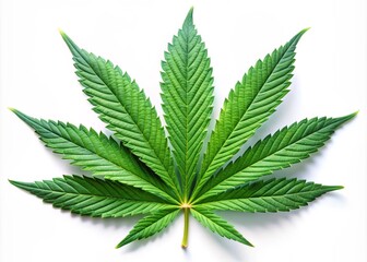 A fresh, vibrant, and isolated green cannabis leaf with prominent veins, intricate details, and delicate edges, shot against a clean white background, highlighting its natural beauty.