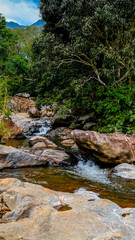 stream in the forest