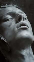 Close-Up Portrait Sculpture: A Study in Form and Texture