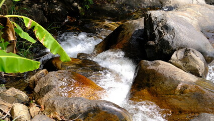 waterfall in the forest