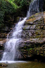 waterfall in the forest