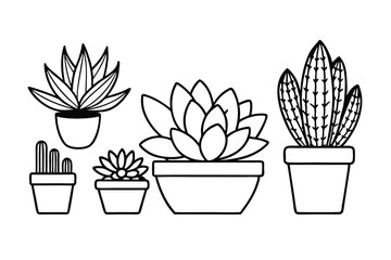 Vector illustration of diverse succulents in textured pots, perfect for botanical designs.