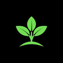 a green plant on a black background with a green leaf.