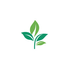a green plant on a black background with a green leaf.