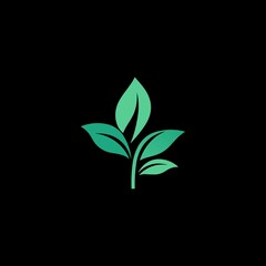 a green plant on a black background with a green leaf.