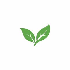 a green plant on a black background with a green leaf.
