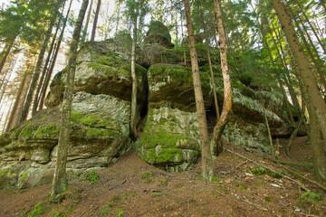 forest landscape with picturesque cliffs. Nature of Poland © tillottama