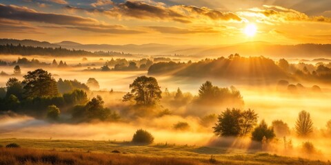 Fototapeta premium Soft golden light illuminates the misty fog, transforming the landscape into a tranquil serene atmosphere as the sun rises over the dewy morning scene.