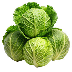 Obraz premium cabbage isolated on white background