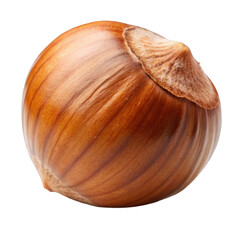 hazelnut isolated