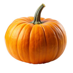 Fototapeta premium pumpkin isolated on white