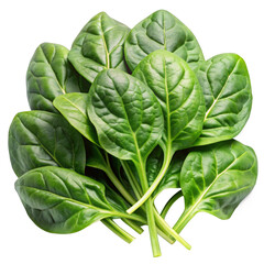 Fototapeta premium spinach leaves isolated on white background