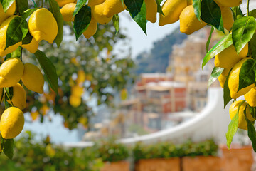 Blurred background captures colorful buildings, highlighting scenic beauty of Amalfi Coast