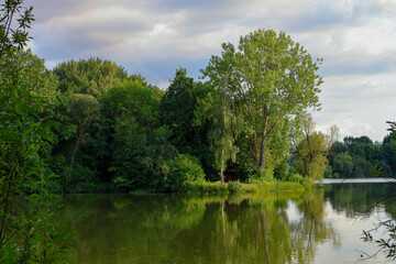 Green landscape with trees