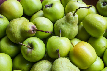 A mass of green colored Apples and Pear
