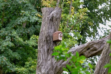 birdhouse on tree