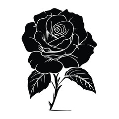 Hand drawing style of rose vector. It s suitable for plant or flower icon, sign or symbol.