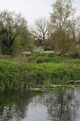 Obraz premium landscape with a pond