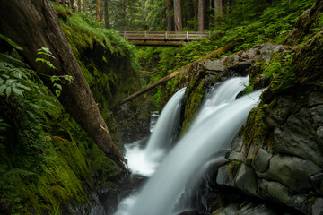 Smooth Streams Of Sol Duc Falls Drop Around A Fallen Tree Trunk Leaning On The Mossy Green Wall