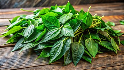 Obraz premium Fresh green leaves of Daun Pecah Beling, a traditional herbal plant, spread out on a wooden table, ready to be used for natural health remedies.