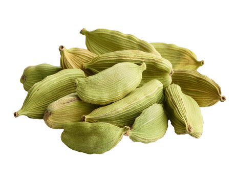 Kardamom, isoliert  Hintergrund, Freisteller 
