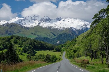 Fototapeta premium Scenic winding road through lush greenery and snow-capped mountains