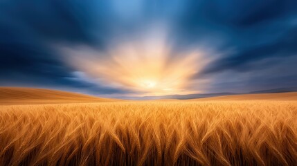 Fototapeta premium Light breaking through the clouds over a rolling landscape of golden wheat fields