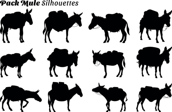 Set of 12 item pack mule silhouette vector illustration