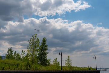 This photo showcases a tranquil riverside park in Jersey City, where lush greenery meets the calm...