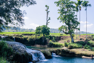 田んぼの中にある池にある小さな川