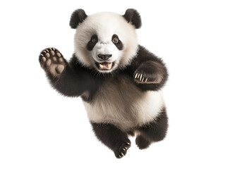 Obraz premium photo of a panda floating mid-air on isolated background 