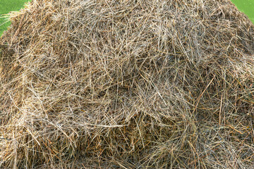 A close-up of a haystack in a field. The natural texture of the hay is clearly visible.