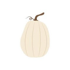 Drawing of a farm-fresh pumpkin for autumnal celebrations. Vector illustration for autumn season and traditional harvest themes