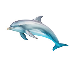 Fototapeta premium dolphin isolated on white background